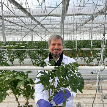 Yediyol Holding’in Dev Projesi Agro Termal’de İlk Hasat Toplandı